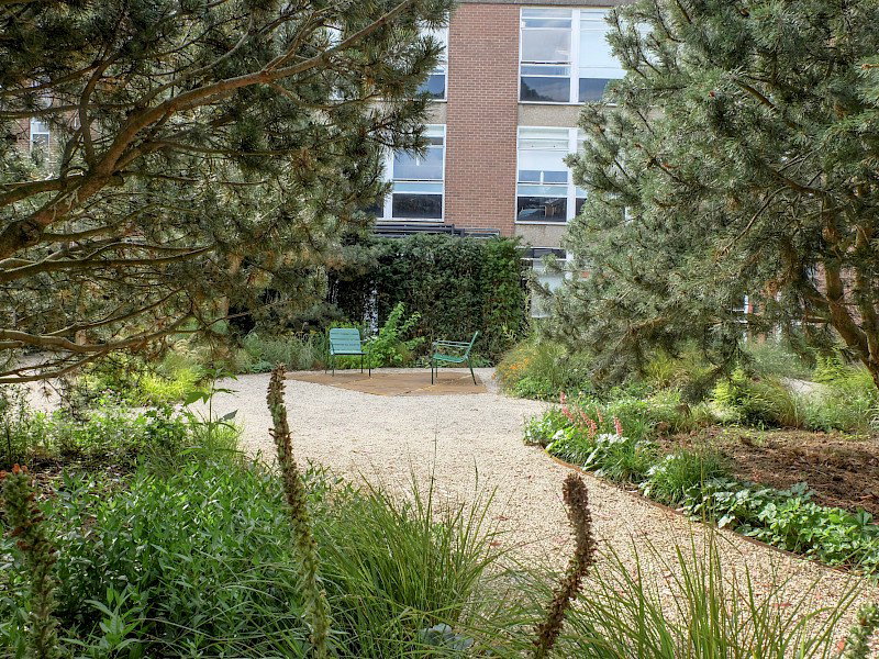 The Stroke Recovery Garden at Chapel Allerton Hospital
